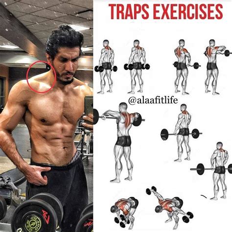 Lower Traps. Exercise 1: Standing Cable Y-Raise. Sample Back Workout Routine (Bodyweight Or Dumbbells) Upper back. Exercise 1: Chest-Supported Dumbbell Upper Back Rows. Exercise 2: Overhand Grip Pull Ups. Lats. Exercise 1: Single-Arm Dumbbell Lat Rows. Exercise 2: Chest-Supported Dumbbell Lat Rows. Lower Traps. …